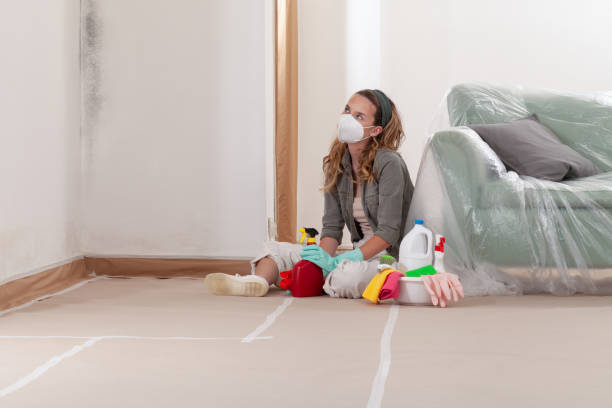 Reliable Mold Cleanup contractor in Nahant, MA by WQB Mold Removal